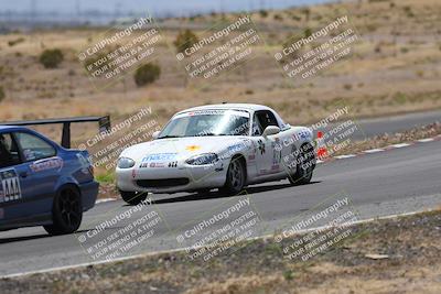 media/May-03-2025-Lucky Dog Racing (Sat) [[206de64b9d]]/Turn 6 (150pm-230pm)/